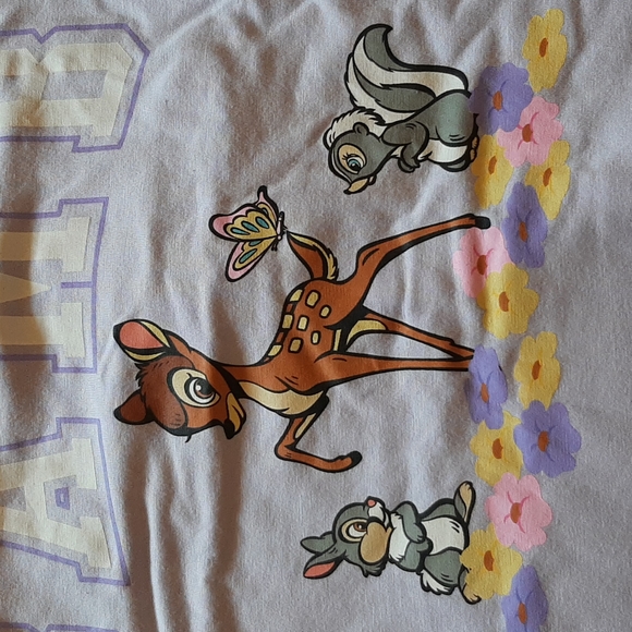 PLUS Bambi Crop Top - Picture 3 of 3